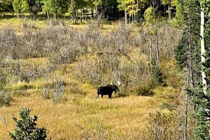 High Country Old West 4X4 Jeep Tour - Pricing and Value