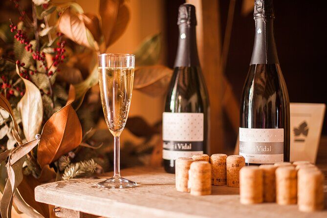 High-End Vineyard Escape: Cava, Tapas & Wine | Private Tour - FAQ
