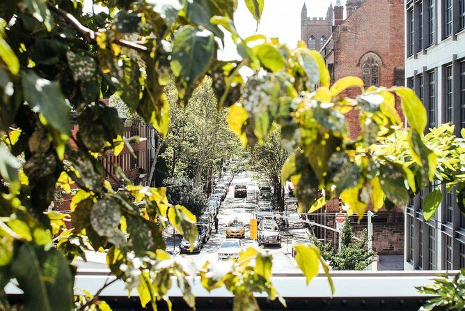 High Line and Chelsea Small Group Tour - The Experience: What You Can Expect