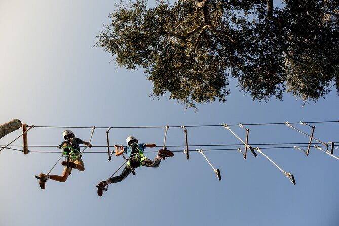 High Ropes Adventure Course near Santa Barbara - A Deep Dive into the High Ropes Adventure Experience