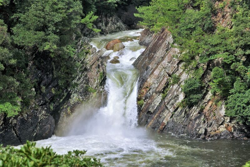 High Speed Jetfoil "Toppy" or "Rocket" Ticket to Yakushima - Seats, bags, and the small rules that matter