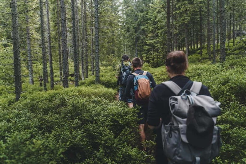 High Tatras: Bearwatching Hiking Tour in Slovakia - FAQs