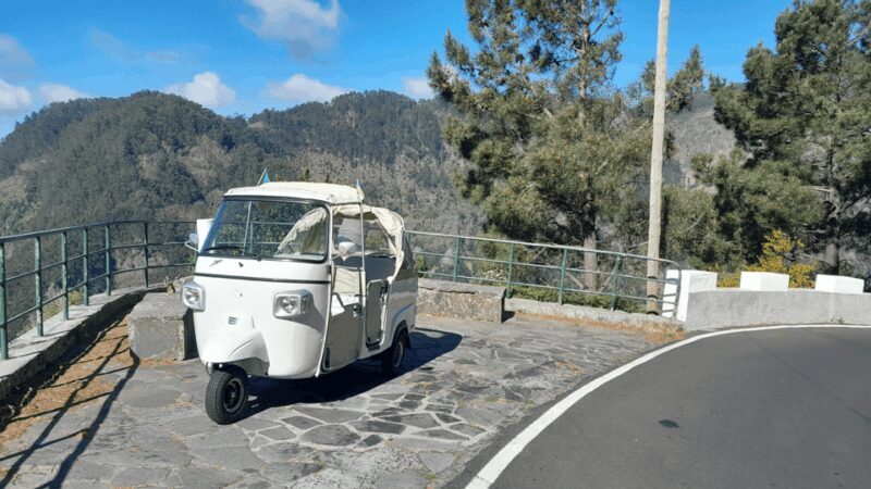 High West Van Guided Tour Madeira (from Funchal) - Discover the West Coast of Madeira in Comfort and Style