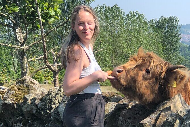 Highland Cows, Walk Alpacas & Scottish Wildlife Centre from Edin. - Final Thoughts: Is It Worth the Price?