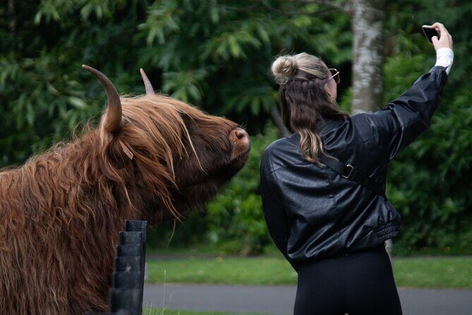 Highlands Cows Glencoe and Castles Private Tour from Edinburgh - Discover the Scottish Highlands in Comfort and Style