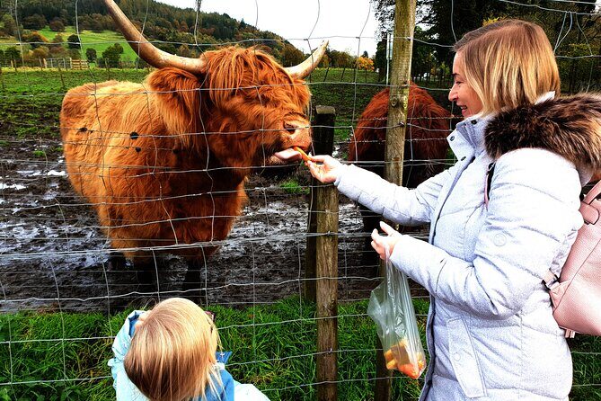 Highlands, Glencoe and Glenfinnan Viaduct Private Tour - The Beauty of a Private Tour