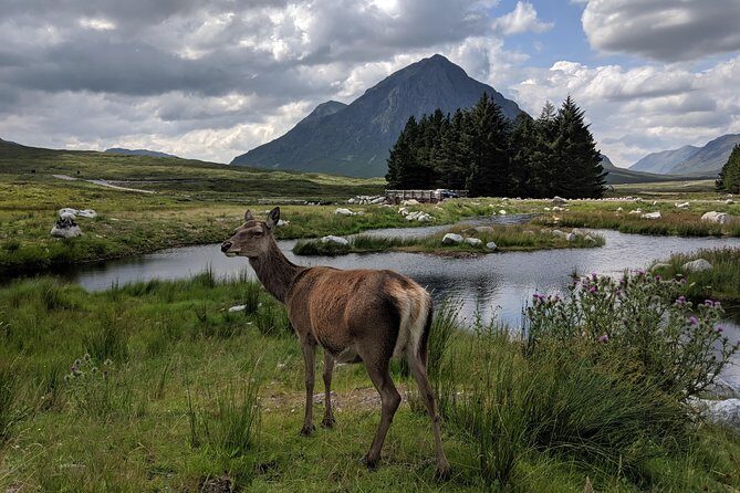 Highlands Private One Day Tour of Scotland - Transportation and Comfort