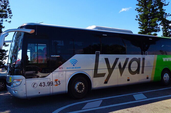 Highlight City Tour in New Caledonia - Exploring the Highlights of Nouméa with Lyvai
