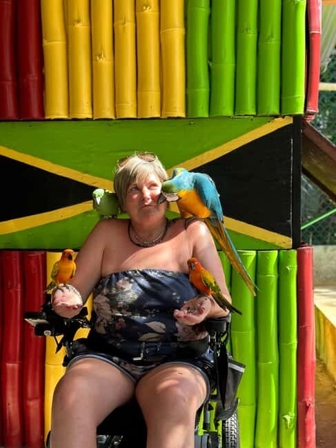 highlight tour bamboo Rafting, Doctor cave beaches - Experience Jamaica’s Best Beaches and Adventure on a One-Day Tour in Montego Bay