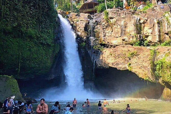 Highlight Ubud Temple, Rice Terrace including Waterfall - In-Depth Review of Your Bali Day Tour