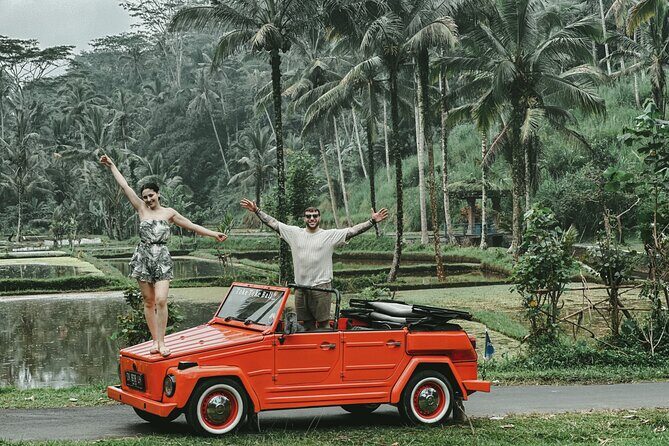 Highlight Ubud Tour in Classic Vintage Volkswagen - Highlight Ubud Tour in Classic Vintage Volkswagen