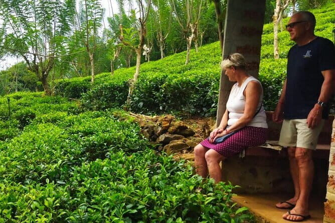 Highlights Colombo Day Tour with Afternoon High Tea in Kingsbury Hotel - Authentic Insights from Reviews