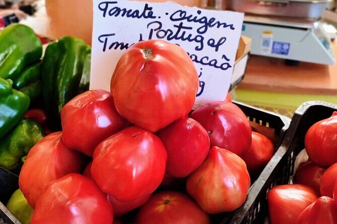 Highlights & Culinary Kickstart of Ericeira Private Tour - Exploring Ericeira with a Foodie in Mind