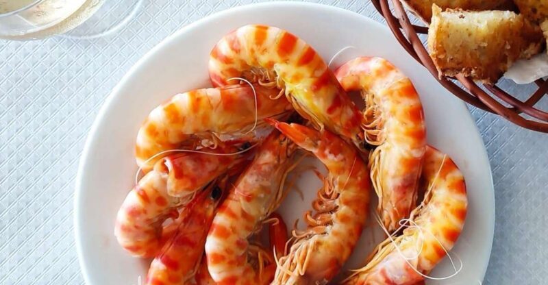 Highlights & Culinary Kickstart of Ericeira | PRIVATE Tour - Practical Details and Tips