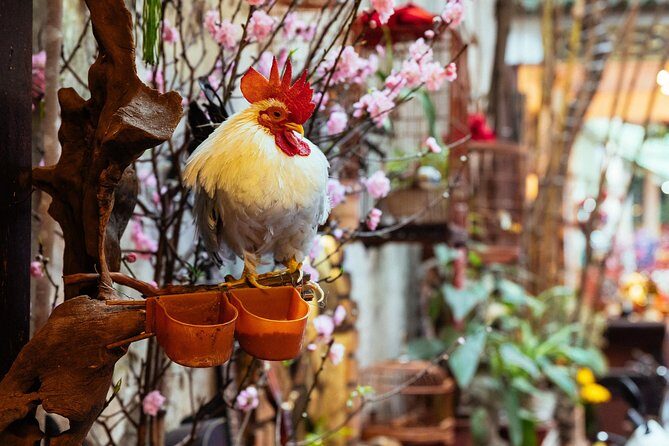 Highlights & Hidden Gems With Locals: Best of Hanoi Private Tour - Practical Details and Why They Matter
