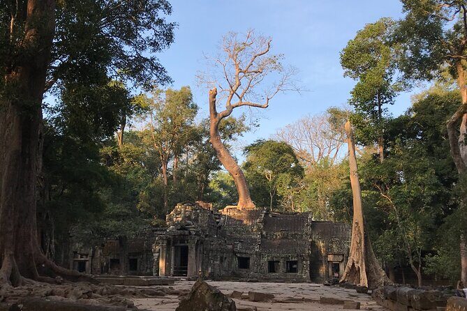 Highlights of Angkor Wat, Ta Prohm & Angkor Thom - FAQ