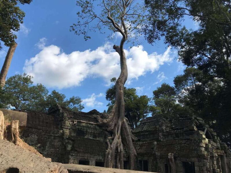 Highlights of Angkor Wat, Ta Prohm & Angkor Thom - Key Points