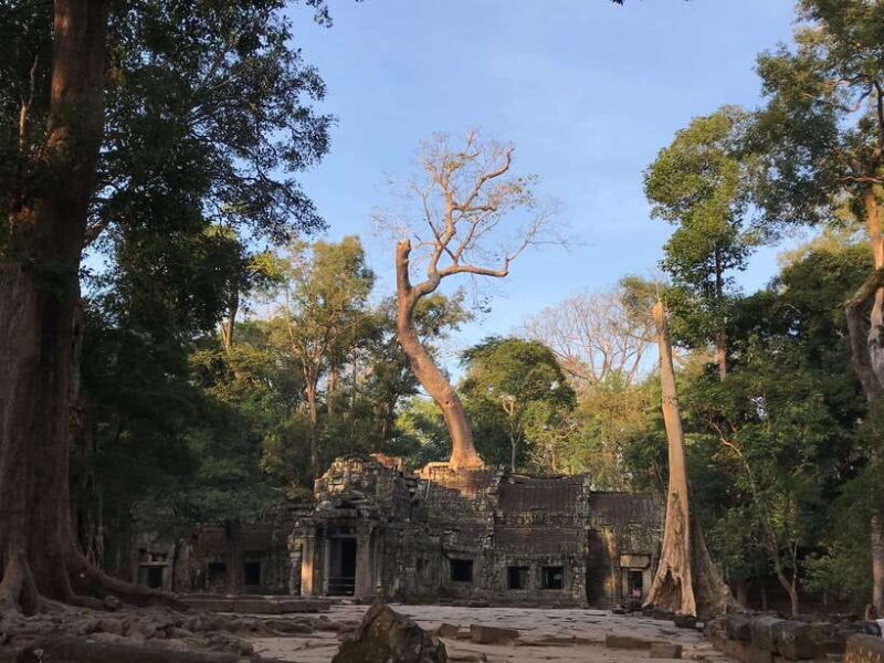 Highlights of Angkor Wat, Ta Prohm & Angkor Thom - Itinerary Breakdown: What to Expect