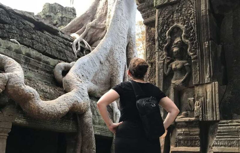 Highlights of Angkor Wat, Ta Prohm & Angkor Thom - Who Should Book This Tour?