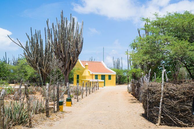 Highlights of Bonaire & Cultural Experience - Key Points