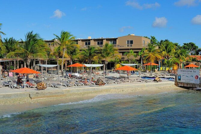 Highlights of Bonaire & Cultural Experience - Who Will Love This Tour?