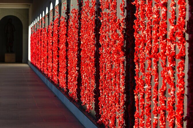 Highlights of Canberra Full Day Tour - What Could Be Better