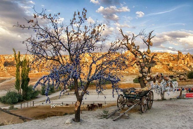 Highlights of Cappadocia from Istanbul - Who This Tour Is Best For
