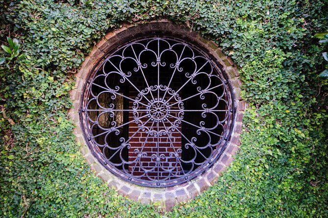 Highlights of Charleston Guided Walking Tour - A Deep Dive into the Charleston Experience