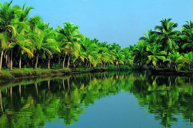 Highlights of Cochin - Group Shore Excursion from Pier - Who Will Love This Tour?