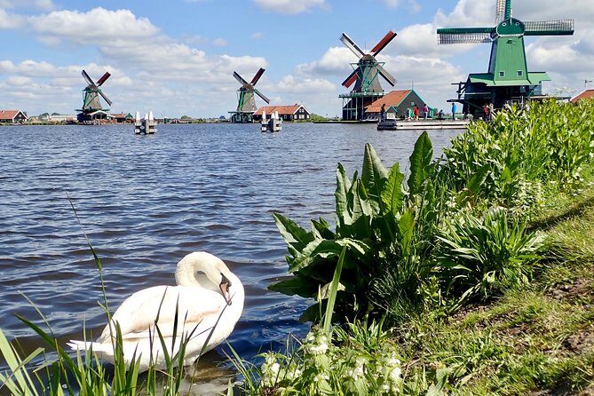 Highlights of Holland Private Guided Tour from Amsterdam - Why This Tour Offers Great Value