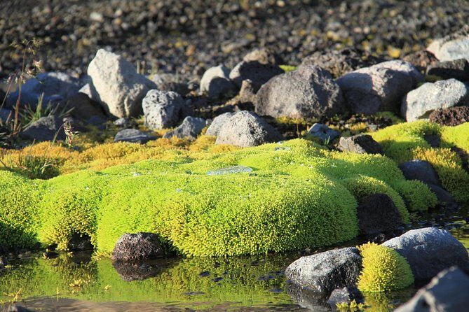 Highlights of Iceland / private guided super Jeep tour - FAQ
