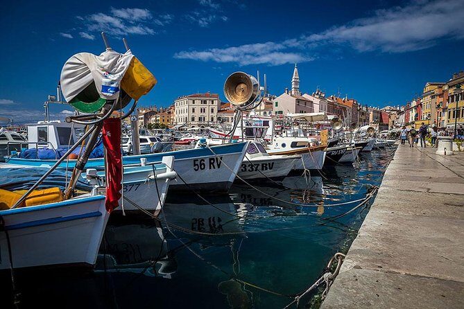 Highlights of Istria Full-Day Photo Tour from Zagreb - A detailed look at the Highlights of Istria Full-Day Photo Tour from Zagreb