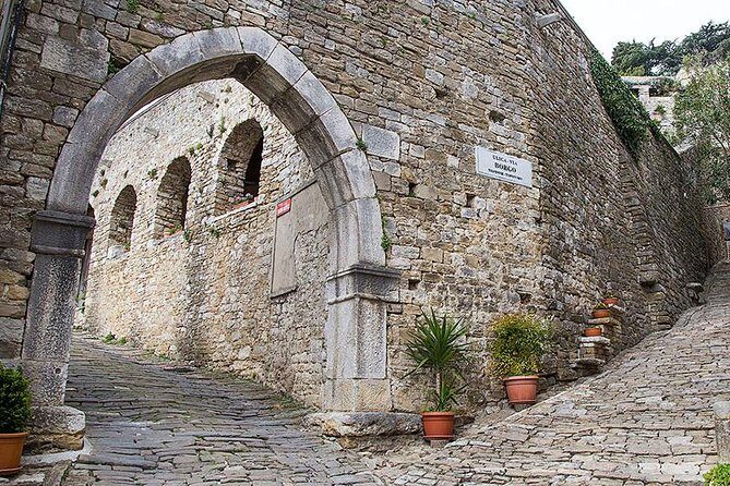Highlights of Istria Full-Day Photo Tour from Zagreb - Key Points
