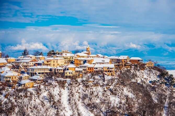 Highlights of Kakheti region-Signagi,Bodbe,Wine tasting(Private Tour) - Who will love this tour?