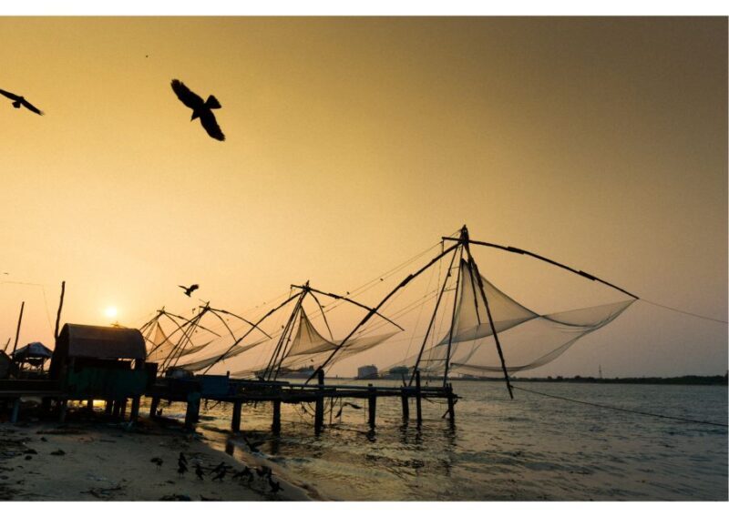 Highlights of Kochi, Guided Half-Day Tour by Car - Who Will Love This Tour?