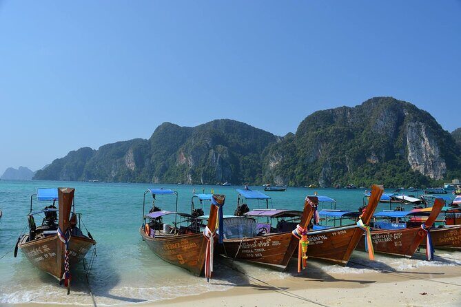 Highlights of Phi Phi Islands - Who Is This Tour Best For?