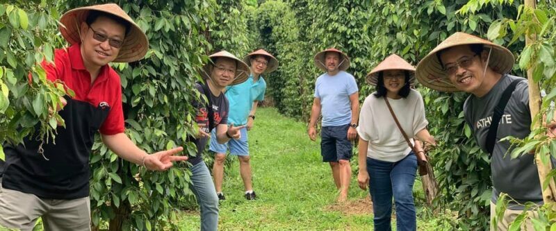 HIGHLIGHTS OF PHU QUOC FULL DAY TOUR - Visiting the Coconut Prison: Reflection and History