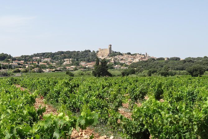 Highlights of Provence : Chateauneuf du Pape & Luberon - Who Should Consider This Tour?
