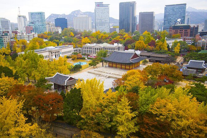 Highlights of Seoul Tour in Seoul: Deoksugung & N Seoul Tower - Who Will Love This Tour?