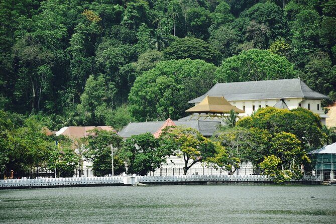 Highlights of Sri Lanka 8 Days Private Tour - Day 3: The Rock Fortress and Buddhist Caves