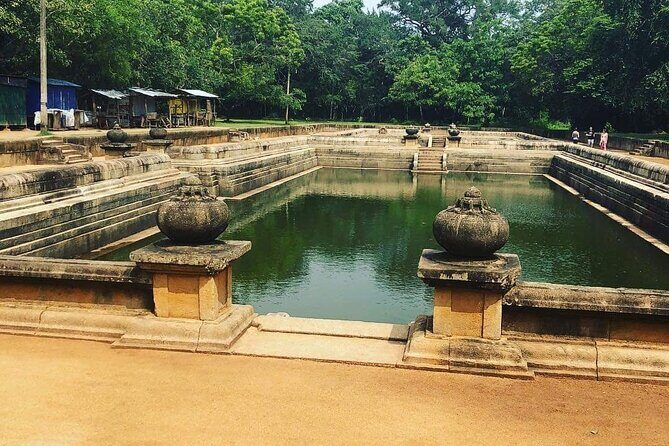 Highlights of Sri Lanka 8 Days Private Tour - Day 5: Nuwara Eliya and Mountain Views