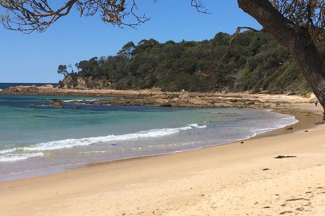 Highlights of the Eurobodalla (half day private tour) - Key Points