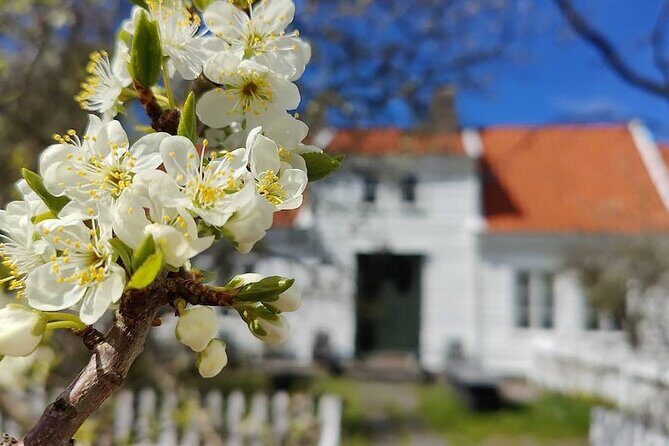 Highlights of the Region -City/Skudenes/Avaldsnes Guided Bustour - Key Points