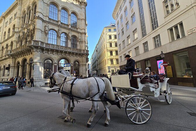 Highlights of Vienna in a Historical & Cultural Walking Tour - Practical Details & Why They Matter