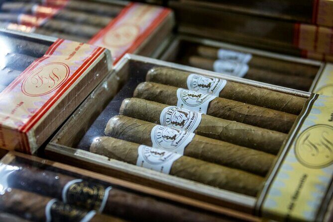 Higuey and River Yuma Full Day Tour with Lunch from Punta Cana - Final Thoughts