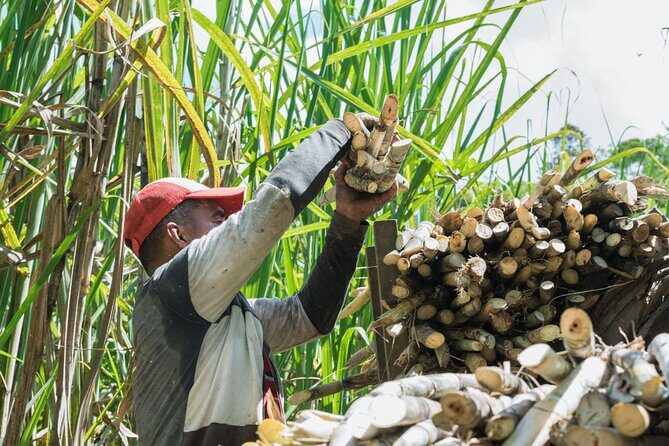 Higüey Cultural Tour A Journey from Punta Cana - Frequently Asked Questions