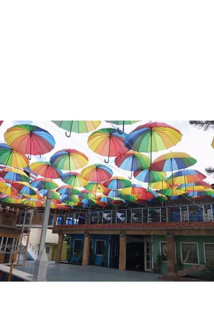 Higuey discovery, coffee and cocoa tasting from punta cana - Authenticity and Value