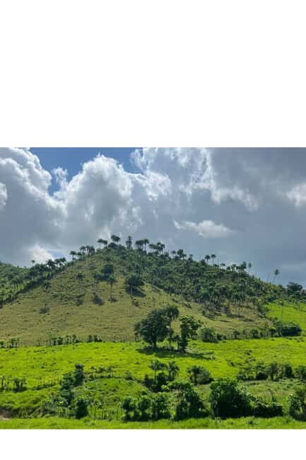 Higuey discovery, coffee and cocoa tasting from punta cana - Who Will Enjoy This Tour?