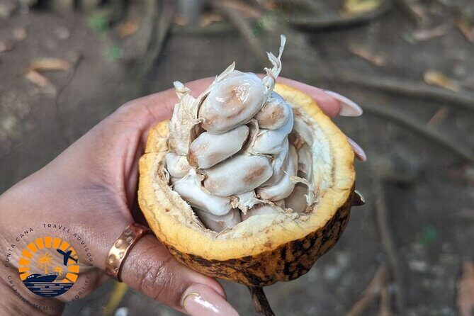 Higuey expedition cultural and historical tour from Punta Cana - Craftsmanship and Tobacco: Making Your Own Cigar