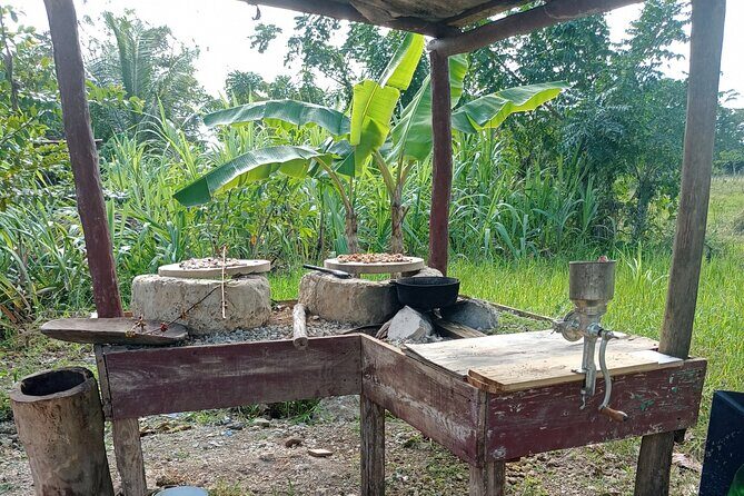 Higuey expedition cultural and historical tour from Punta Cana - Who Will Enjoy This Tour?